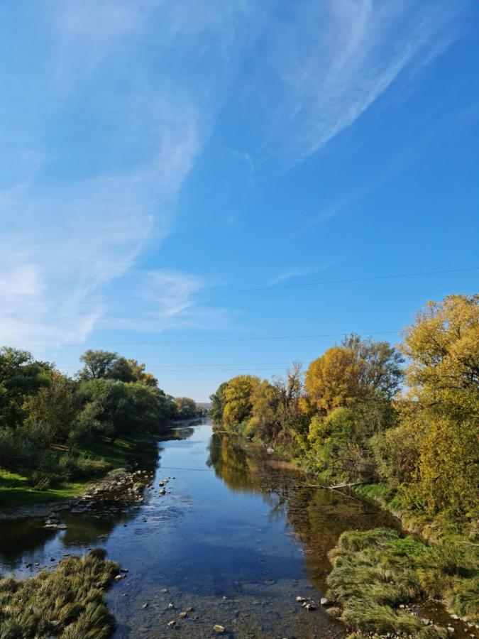 Vila Zelena Saduba Nevitskoye  Exteriér fotografie